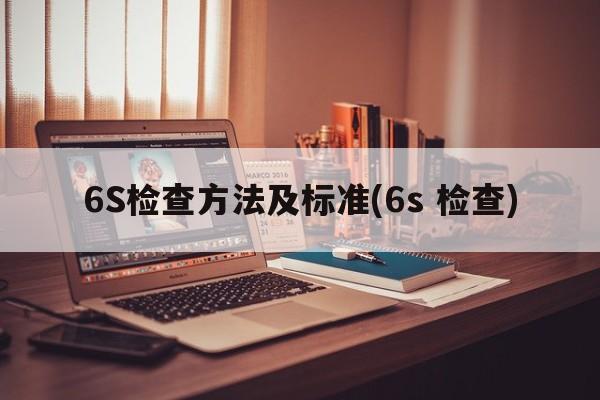 6S检查方法及标准(6s 检查)